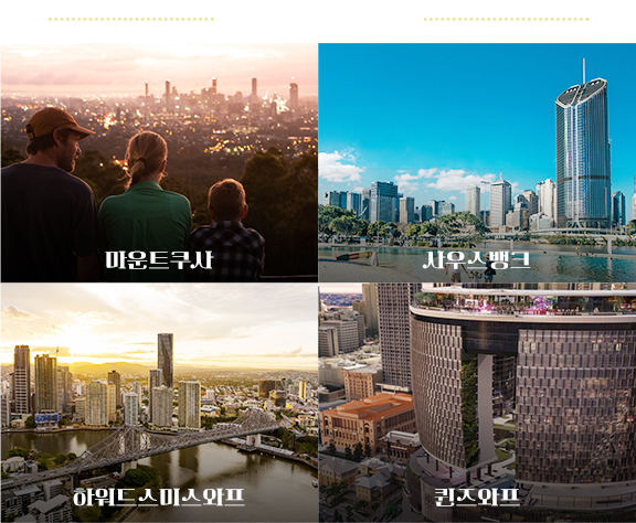야에야마 야자수 군락지